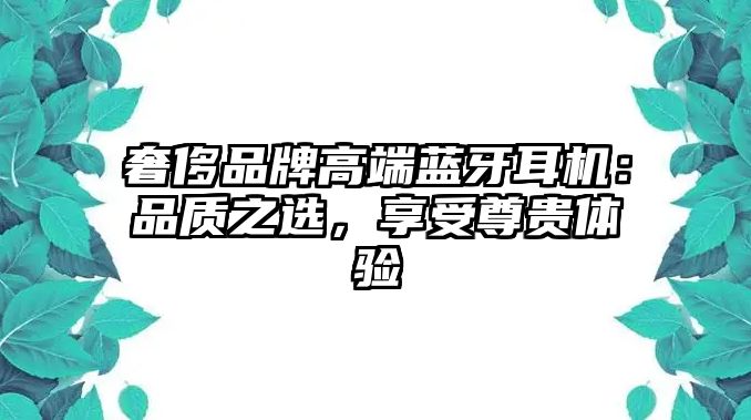 奢侈品牌高端藍(lán)牙耳機(jī)：品質(zhì)之選，享受尊貴體驗