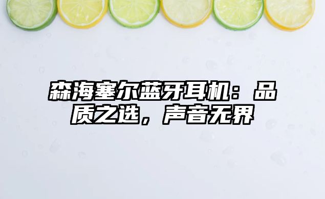 森海塞爾藍(lán)牙耳機(jī)：品質(zhì)之選，聲音無界