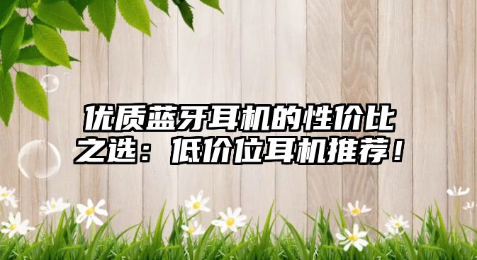 優(yōu)質(zhì)藍(lán)牙耳機(jī)的性?xún)r(jià)比之選：低價(jià)位耳機(jī)推薦！