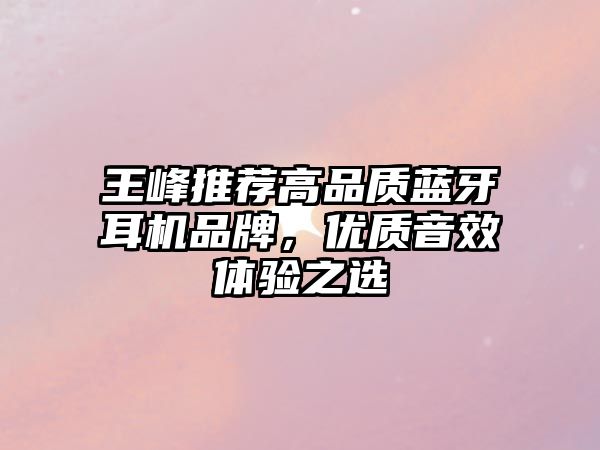 王峰推薦高品質(zhì)藍(lán)牙耳機(jī)品牌，優(yōu)質(zhì)音效體驗(yàn)之選