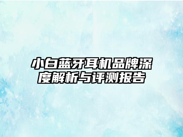 小白藍牙耳機品牌深度解析與評測報告