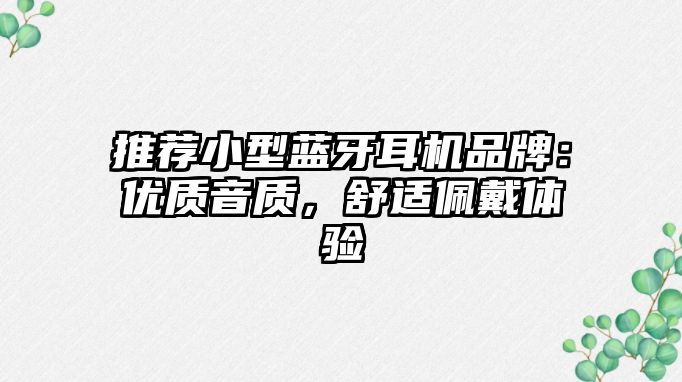 推薦小型藍牙耳機品牌：優(yōu)質(zhì)音質(zhì)，舒適佩戴體驗